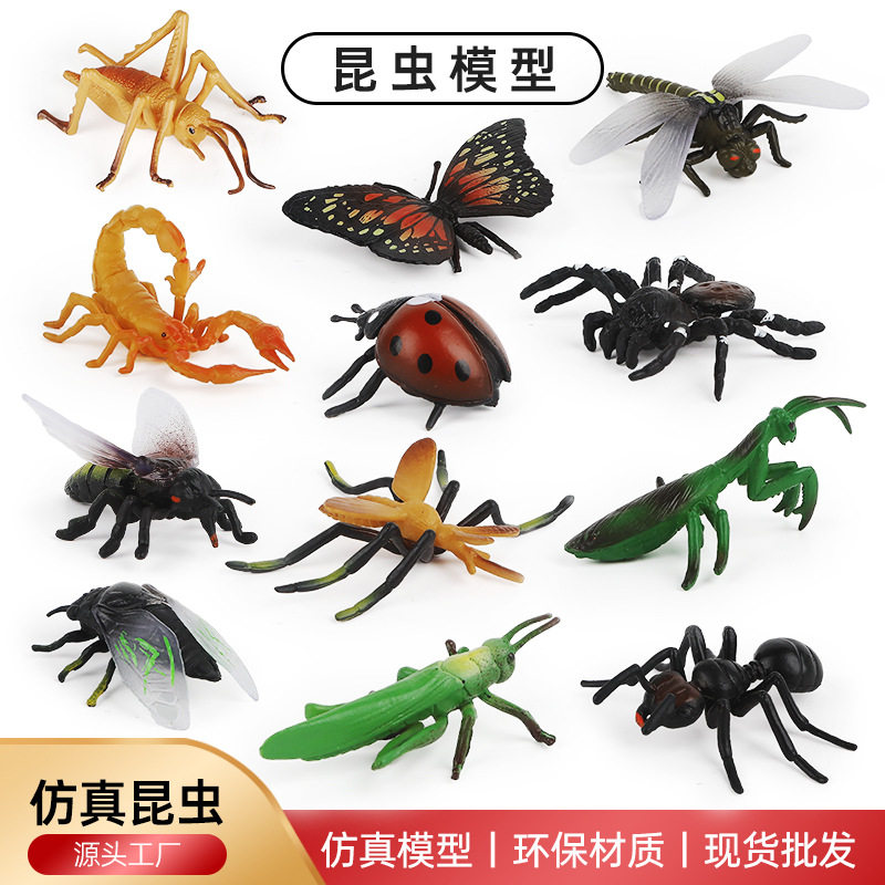 儿童昆虫玩具动物模型蚱蜢蝴蝶七星瓢虫蝎子蜘蛛蚂蚁蜈蚣摆件
