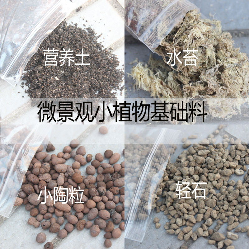 植物营养土苔藓土微景观diy材苔藓微景观
