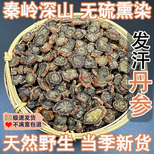 正宗秦岭丹参紫丹参500g丹参片发汗丹参中药材正品