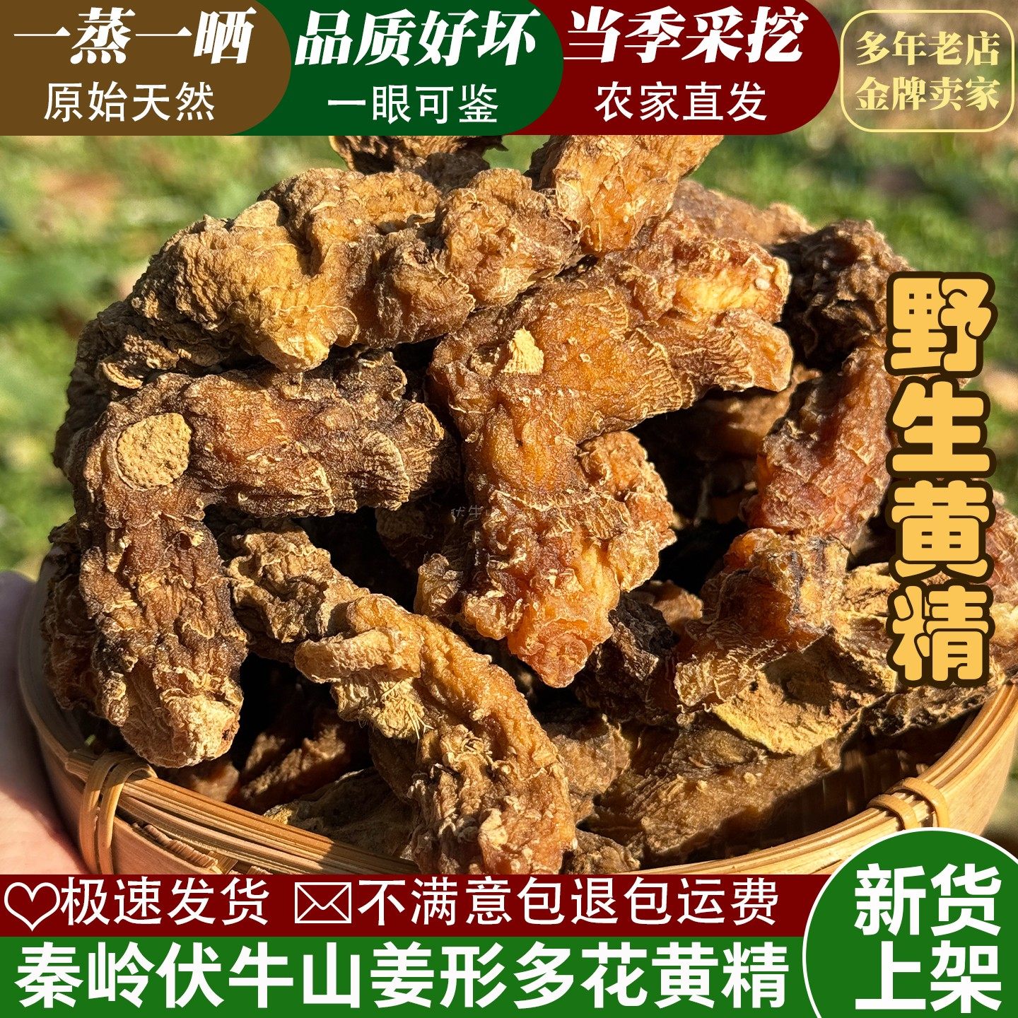 秦岭野生黄精中药材正品新货可泡茶泡酒姜型多花黄精