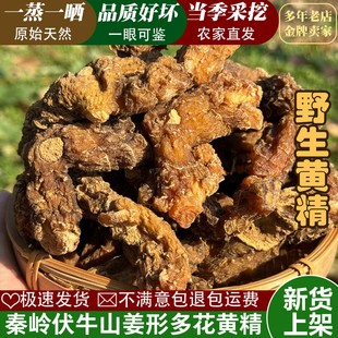 秦岭野生黄精中药材正品新货可泡茶泡酒姜型多花黄精