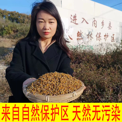 无添加食用农产品河南南阳野菊花