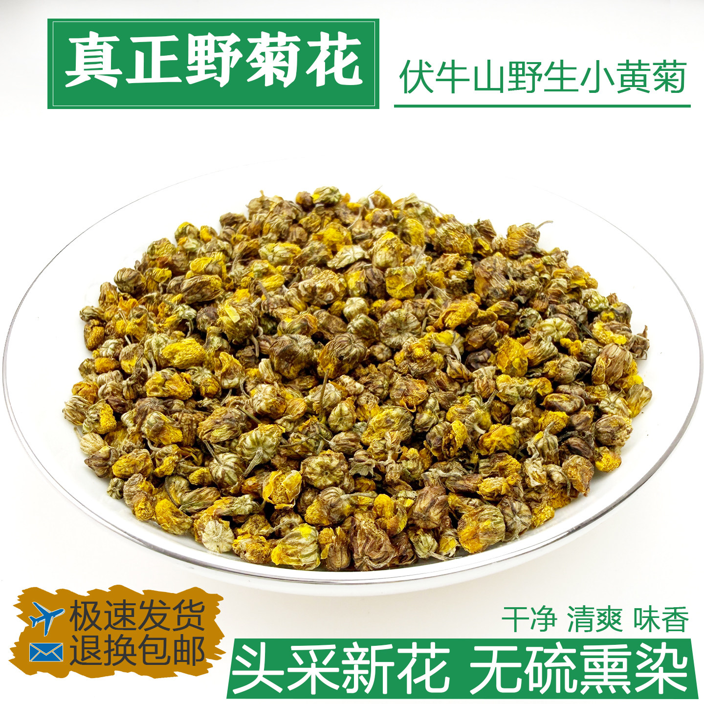 秦岭野生野菊花新货散装胎菊小菊花胎菊花茶中药材