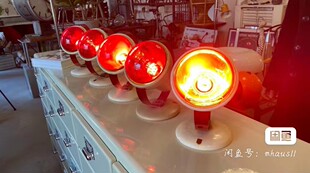 夏洛特佩里安的灯