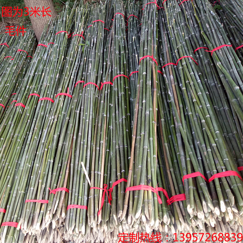 青细竹子竹竿菜园搭架批发爬藤架