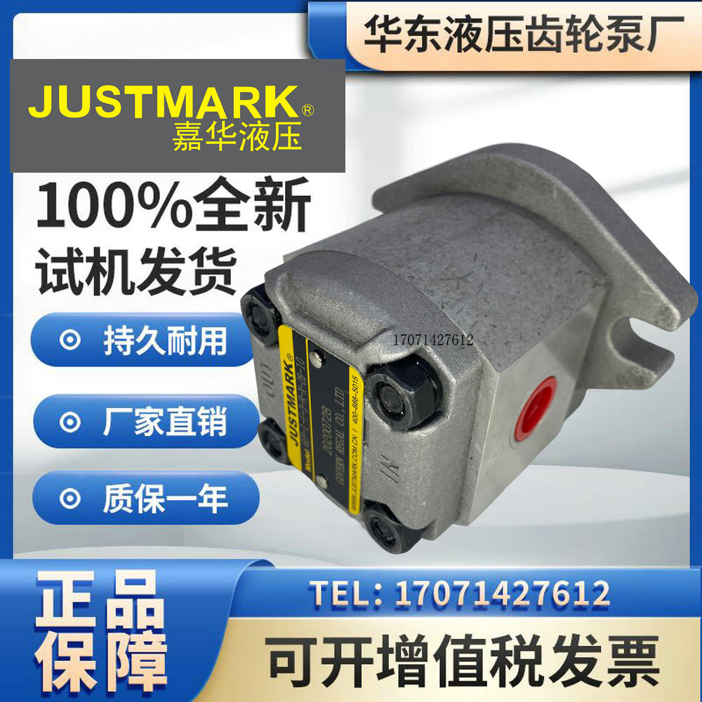 JUSTMARK售台湾嘉华GEP-1-F-1/2/3/4/5/6/8-R-X-2B-10高压齿轮泵