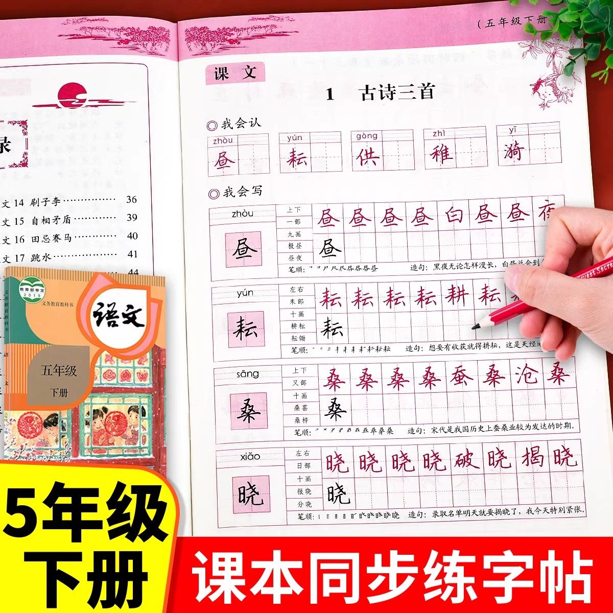 五年级下册练字帖人教版五下语文字帖课本同步练字帖 老师推荐5年级下小学生专用钢笔生字帖下学期练字描红教材写字每日一练课课练,书籍/杂志/报纸,练字本/练字板,淘宝优惠券,粉丝福利购,淘宝优惠卷