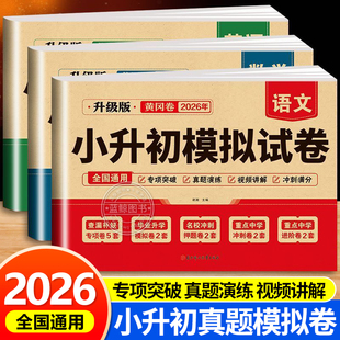 2025小升初真题卷语文数学英语必刷题六年级小升初总复习人教版小升初冲刺新卷试卷测试卷全套名校模拟期末专项训练复习资料卷子RJ
