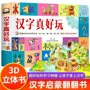 汉字真好玩立体书儿童3d立体书宝宝撕不烂翻翻书幼儿学前识字大王3000字绘本3–6岁幼儿园宝宝启蒙认知早教书3d立体汉字机关书