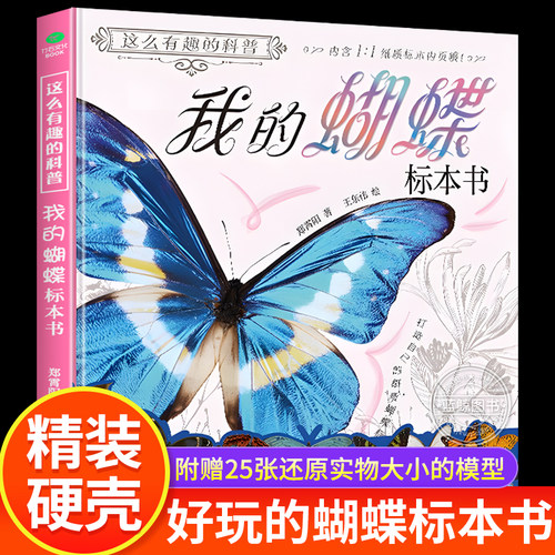 我的蝴蝶标本书儿童科普启蒙书