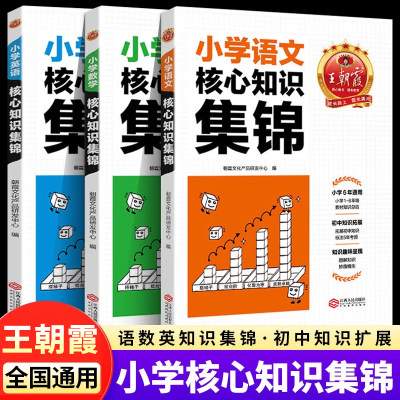 2024新 王朝霞小学核心知识集锦语文数学英语基础知识大盘点 一二年级三四年级五六年级小学生教材知识总结初中知识拓展衔接训练RJ