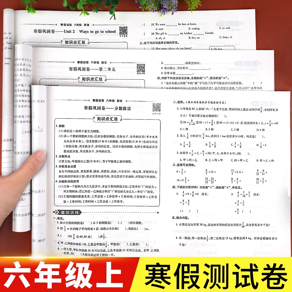 2025新六年级上册寒假试卷语文数学测试卷全套人教版英语小学6年级上下册同步专项训练期末冲刺100分练习题练习册衔接作业下册教材