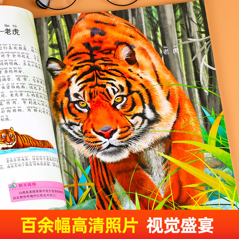 经典动物大百科拼音版 探索动物王国彩图注音版动物百科全书儿童绘本启蒙认知书大开本动物世界大百科科普百科小学生课外阅读全书