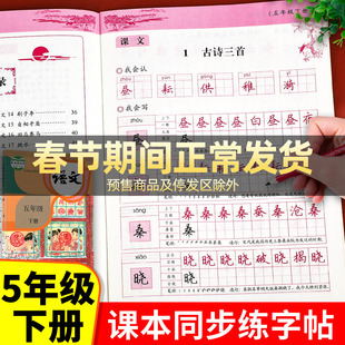 五年级下册语文同步字帖 练字帖人教部编版五下课本教材每日一练小学5年级人教版 下学期写字帖写字课课练 练字本小学生专用RJ