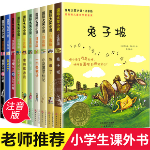 企鹅桥下一家人一百条裙子儿童书籍新蕾出版 国际大奖小说注音版 汉修先生云朵工厂傻狗温迪克波普先生 亲爱 社 全套10册兔子坡正版