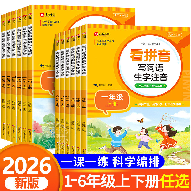 小学生看拼音写词语生字注音一二三四五六年级上册下册人教版部编同步课本语文练习册专项训练 默写能手字词句训练RJ