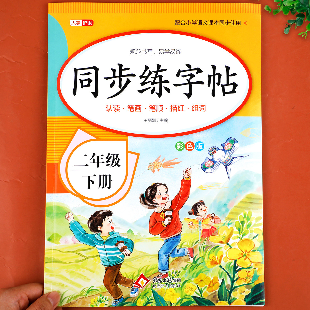 2026新版 二年级下册练字帖人教版 二下语文字帖课本同步练字帖 2年级下小学生专用钢笔生字帖下学期练字教材写字每日一练课课练