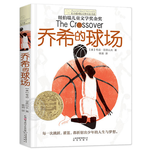 长青藤国际大奖小说书系第6辑 乔希的球场 纽伯瑞儿童文学奖金奖 9-12-15岁中小学生课外阅读书籍 青少年儿童成长文学故事正版书籍