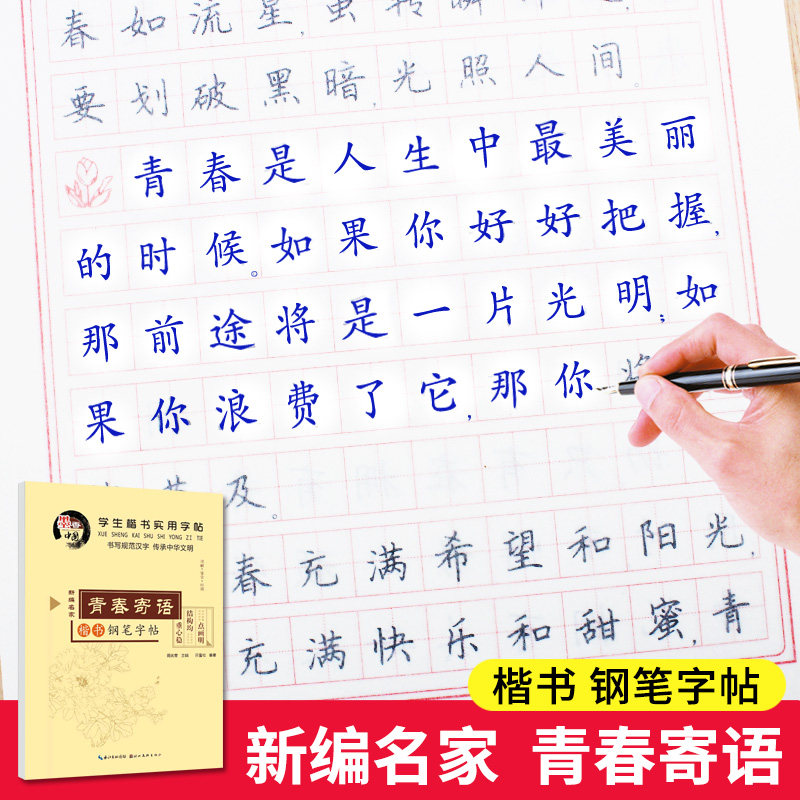 田英章钢笔楷书字帖楷书入门成人初学者练字正楷硬笔临摹字帖女生字体