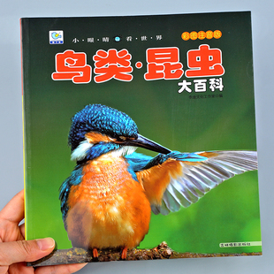 鸟类昆虫大百科彩图注音版 10岁科普故事书籍YJ 儿童科普百科全书幼儿早教启蒙绘本小眼睛看世界科学认知识小学生一二年级课外阅读6