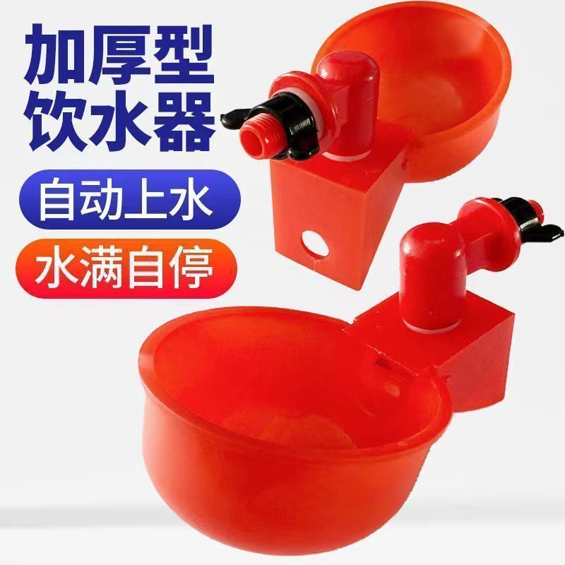新款鸡鸭鹅自动喂水器鸽用饮水碗饮水器喝水碗喂鸡自动饮水器养殖