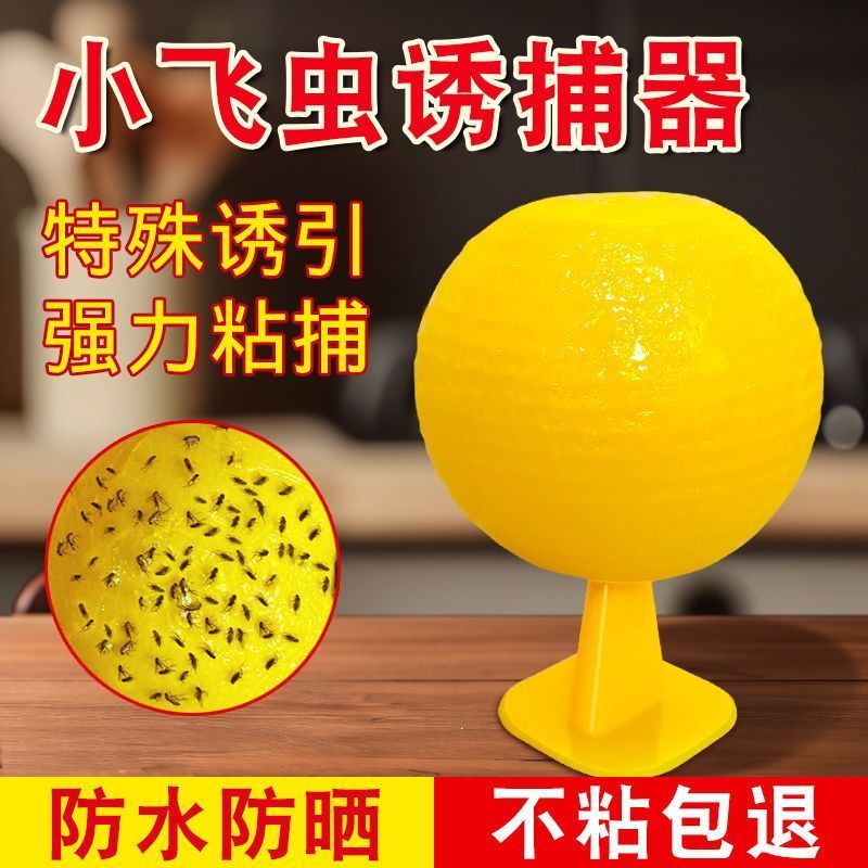 室内粘虫无毒去除飞虫克星果蝇苍蝇神器蚊子水果店厨房家用垃圾桶