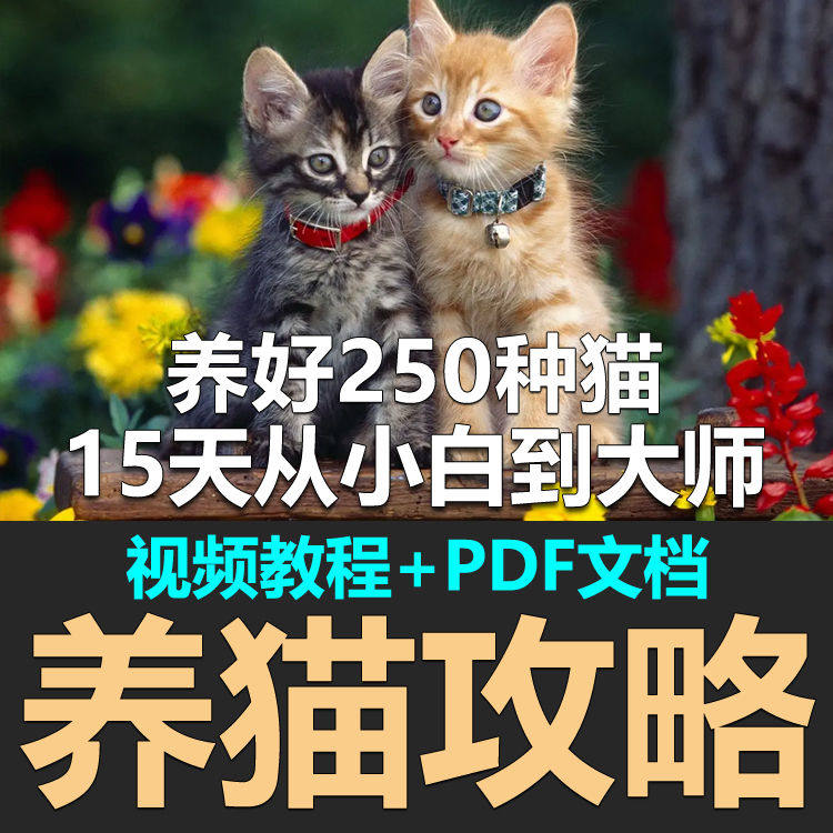 养猫技巧教程宠物猫饲养技术课猫病经验资料手册电子版,商务/设计服务,设计素材/源文件,淘宝优惠券,粉丝福利购,淘宝优惠卷