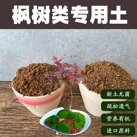 润土堂枫树土沙质土盆栽营养土