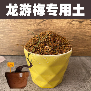 龙游梅专用土梅花老桩盆栽营养土酸性沙质红土壤绿植花卉种植肥料