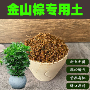 金山棕专用土细叶棕竹盆栽营养土家用通用室内绿植酸性沙质土肥料
