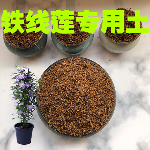 铁线莲盆栽绿植肥料专用土