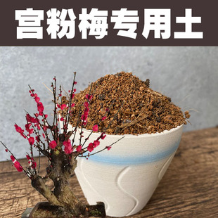 宫粉梅专用土梅花盆栽营养土家用花卉绿植种植酸性沙质土壤有机肥