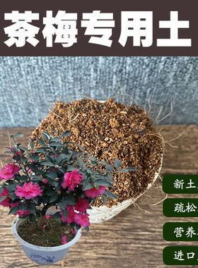 润土堂茶梅土沙质土盆栽营养土