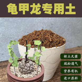 龟甲龙专用土南非爬藤块根植物盆栽营养土花卉绿植种植沙质土壤肥