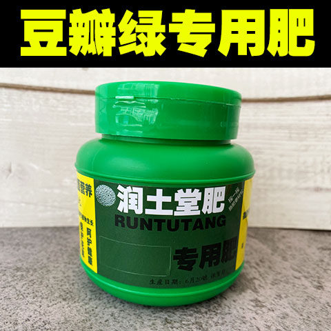 豆瓣绿肥料豆瓣绿专用肥盆栽室内有机肥复合肥颗粒缓释肥花卉肥料