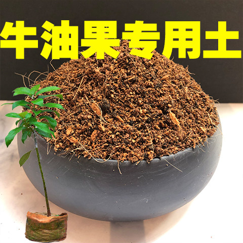 牛油果专用土牛油果土盆栽营养土酸性沙质泥炭土壤绿植种植土肥料 - 封面