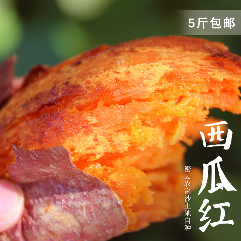 西瓜红红薯糖心新鲜 农家软糯蜜薯 红心密薯现挖沙地地瓜超甜