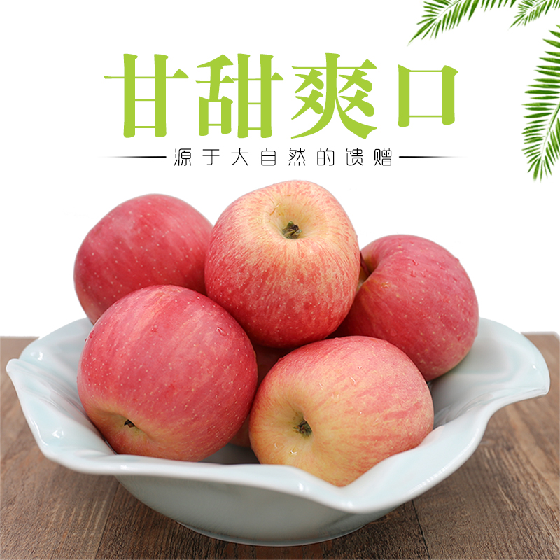密云新城子富士苹果 苹果水果 当季新鲜生鲜水果红富士 5斤