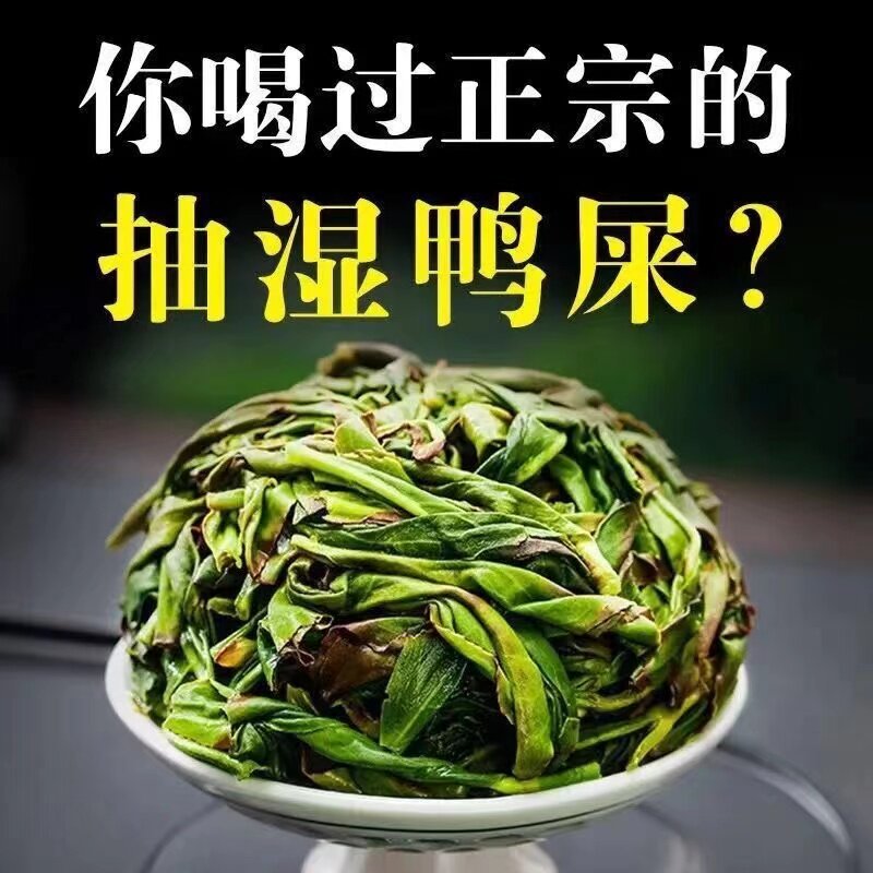正宗潮州凤凰单丛春茶特级高香抽凤凰单丛