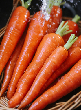 乐作｜云南沙壤撒播橙色胡萝卜脆嫩清甜宝宝辅食轻食沙拉食材