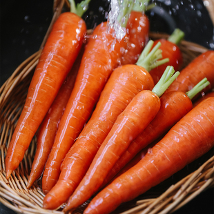 乐作｜云南沙壤撒播橙色胡萝卜脆嫩清甜宝宝辅食轻食沙拉食材