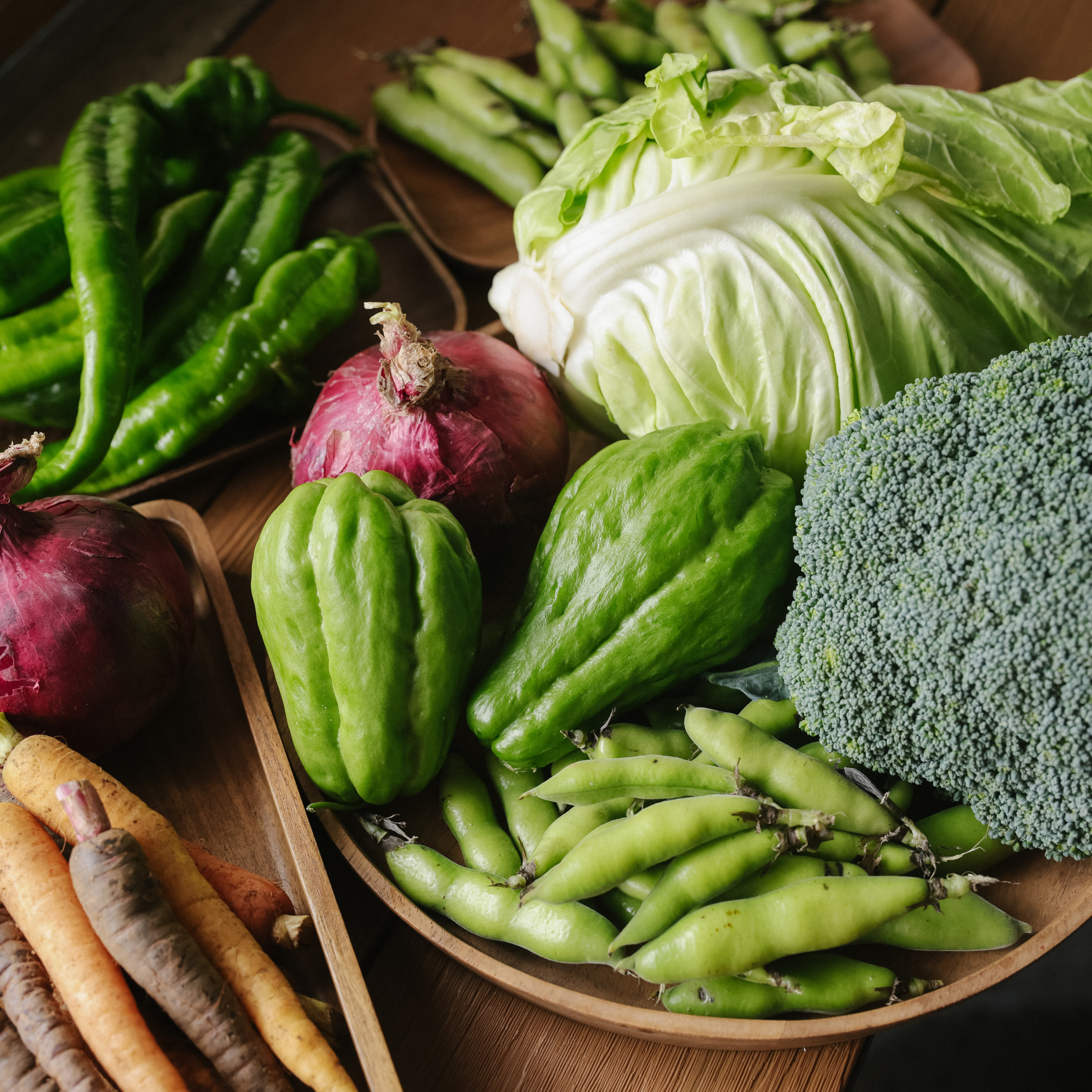 ˳��������ƫԶ������˳��½�ˣ� �㶹3�� ����|�������� ä�� «��/���ֹ�/�㴻/�϶�/��ͷ����5��½�˰���