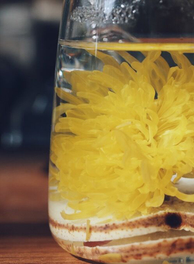 乐作丨梨菊清饮梨菊茶雪梨片金丝菊冰糖枇杷叶罗汉果6包装