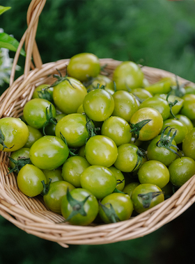 乐作｜碧玉小番茄 香甜味浓 绿色圣女果 爆汁120粒3斤左右