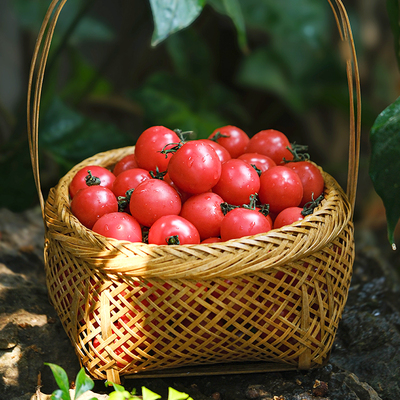 嫩糯樱桃小番茄单粒装皮薄