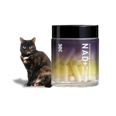 美国直邮Timeplus+ Varied Immune for Cats猫的多种免疫支持补剂