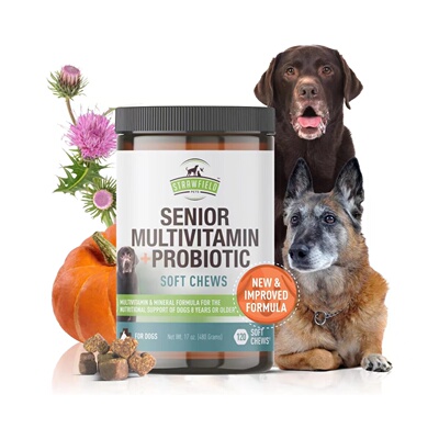 美国直邮Strawfield Pets' Multivitamin Probiotics狗用抗衰补剂