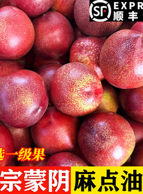 山东蒙阴麻点红油桃现摘脆甜黄心