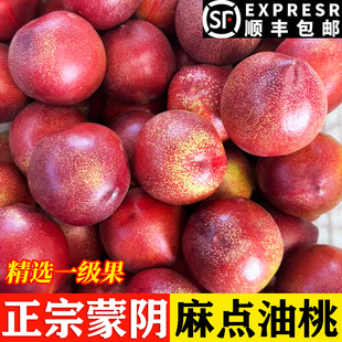 山东蒙阴露天麻点红油桃新鲜水果红油桃桃现摘脆甜蜜桃孕妇黄心