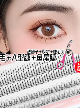 假睫毛鱼尾嫁接仙子自然